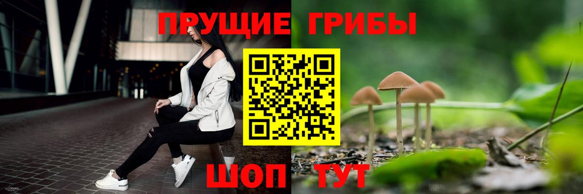 Куйбышев  Псилоцибиновые грибы Psilocybe  Вход с VPN  Псилоцибиновые грибы Psilocybe 